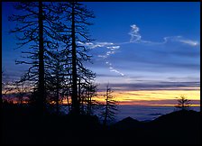 Sky trails at sunset. Sequoia National Park, California, USA.