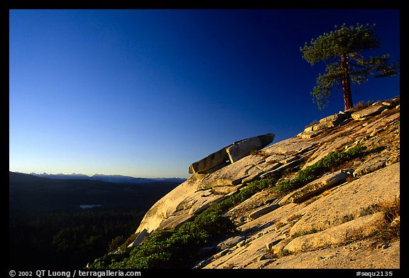 Granite Slab, sunrise. Sequoia National Park (color)
