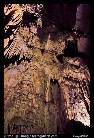 Curtain of icicle-like stalactites, Crystal Cave. Sequoia National Park, California, USA.