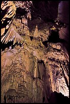 Curtain of icicle-like stalactites, Crystal Cave. Sequoia National Park, California, USA. (color)