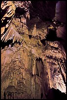 Curtain of icicle-like stalactites, Crystal Cave. Sequoia National Park, California, USA.