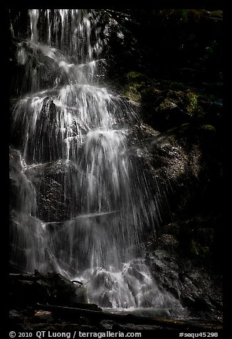 Waterfall with water shining in spot of sunlight, Cascade Creek. Sequoia National Park, California, USA.