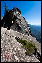 Granite slab, Moro Rock. Sequoia National Park ( color)