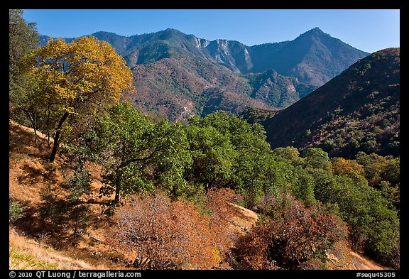 Sierra Nevada western foothills in summer. Sequoia National Park, California, USA.