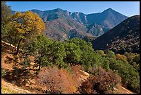 Sierra Nevada western foothills in summer. Sequoia National Park, California, USA.