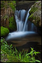 Stream cascade. Sequoia National Park, California, USA. (color)