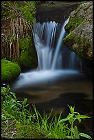 Stream cascade. Sequoia National Park, California, USA.