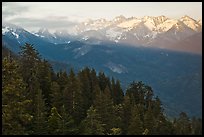 Kaweah Range section of the Sierra Nevada Mountains at sunset. Sequoia National Park ( color)