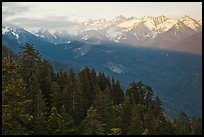 Kaweah Range section of the Sierra Nevada Mountains at sunset. Sequoia National Park, California, USA.