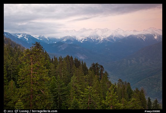 Forest and Great Western Divide at sunset. Sequoia National Park, California, USA.