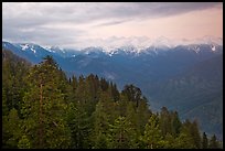 Forest and Great Western Divide at sunset. Sequoia National Park, California, USA. (color)