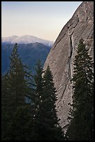 Forest and base of Moro Rock at dawn. Sequoia National Park ( color)