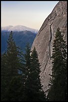 Forest and base of Moro Rock at dawn. Sequoia National Park, California, USA.