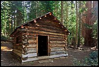 Squatters Cabin. Sequoia National Park, California, USA. (color)