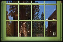 Sentinel tree, Giant Forest Museum window reflexion. Sequoia National Park, California, USA.