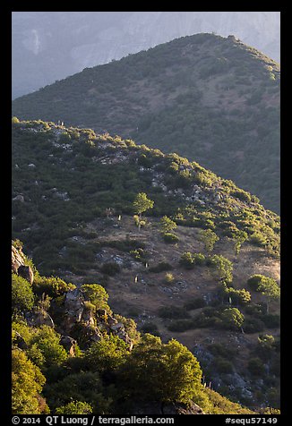 Sierra Nevada foothills in spring. Sequoia National Park (color)