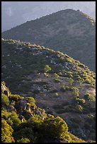 Sierra Nevada foothills in spring. Sequoia National Park ( color)