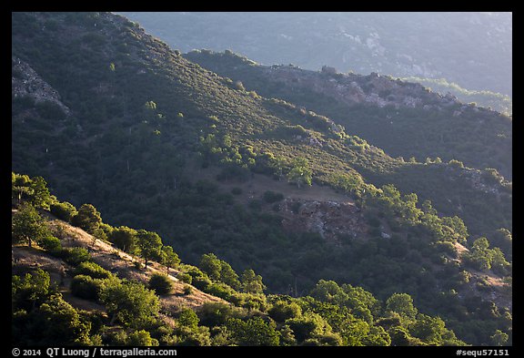 Hill ridges. Sequoia National Park (color)