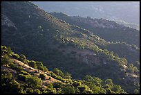 Hill ridges. Sequoia National Park ( color)