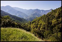 Hills and mountains in spring near Amphitheater Point. Sequoia National Park ( color)
