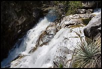 Lower Marble Fall. Sequoia National Park ( color)