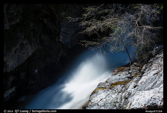 Tree and water flowing in gorge, Marble Fall. Sequoia National Park (color)