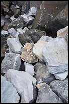 Marble rocks in talus. Sequoia National Park ( color)