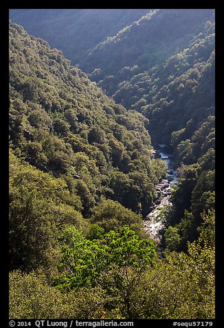 Marble fork of Kaweah River in deep canyon. Sequoia National Park (color)