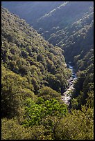 Marble fork of Kaweah River in deep canyon. Sequoia National Park ( color)