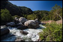 Middle Fork of Kaweah River near Hospital Rock. Sequoia National Park ( color)