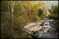 Creek in autumn. Sequoia National Park, California, USA.