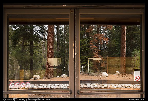 Lodgepole Visitor Center window reflexion. Sequoia National Park (color)