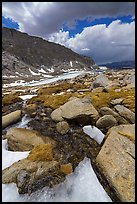 Alpine stream flowing from beneath ice. Sequoia National Park ( color)