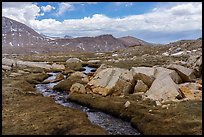 Stream in alpine meadow with rocks. Sequoia National Park ( color)