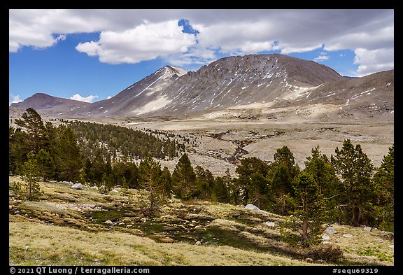 Treeline, Tyndall Creek. Sequoia National Park (color)