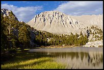 Mt Whitney reflected in Timberlane Lake. Sequoia National Park ( color)