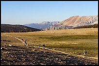 John Muir Trail on the Bighorn Plateau, Sequoia National Park. California ( color)