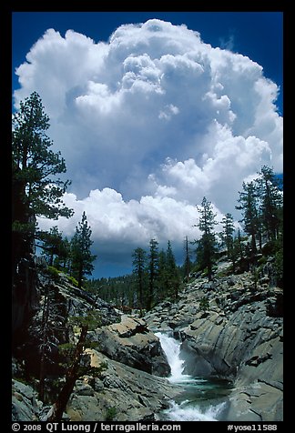 Yosemite Creek and summer afternoon thunderstorm cloud. Yosemite National Park, California, USA.