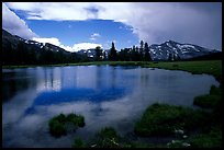 Alpine Lake, Dana Meadows. Yosemite National Park, California, USA.