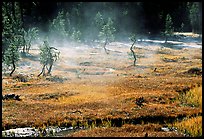 Mist raising from Tuolumne Meadows on a autumn morning. Yosemite National Park, California, USA.