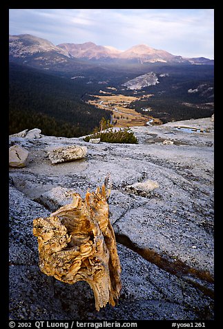 Tuolumne Meadows seen from Fairview Dome, autumn evening. Yosemite National Park, California, USA.