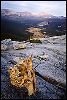 Tuolumne Meadows seen from Fairview Dome, autumn evening. Yosemite National Park, California, USA.