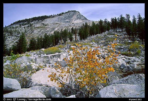 Peak near Sunrise Lakes, autumn. Yosemite National Park, California, USA.