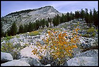 Peak near Sunrise Lakes, autumn. Yosemite National Park, California, USA.