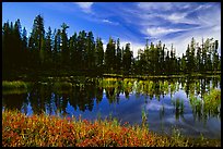 Siesta Lake with Shrubs in autumn colors. Yosemite National Park, California, USA.