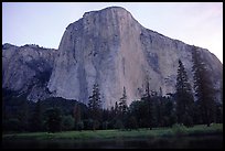 El Capitan, dawn. Yosemite National Park, California, USA. (color)
