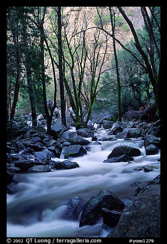 Creek at the base of Bridalveil Falls. Yosemite National Park, California, USA.