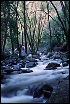 Creek at the base of Bridalveil Falls. Yosemite National Park, California, USA. (color)