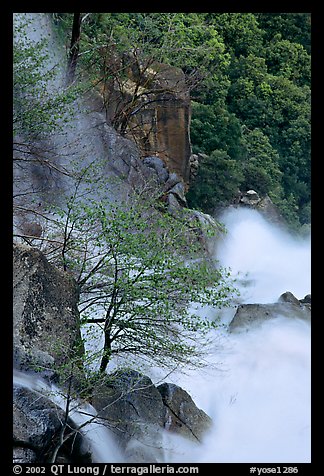 Cascade Creek spring run-off. Yosemite National Park (color)