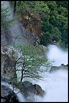 Cascade Creek spring run-off. Yosemite National Park ( color)